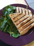 Flatbread panini with turkey and cheddar
