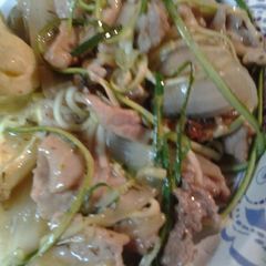 A picture of Pork and onions in a wine sauce.