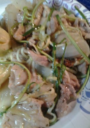 A picture of Pork and onions in a wine sauce.