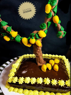 A picture of Mango chiffon cake with chocolate ganache.