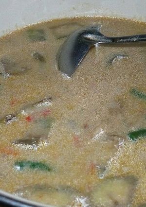 Foto resep Lodeh terong mantap