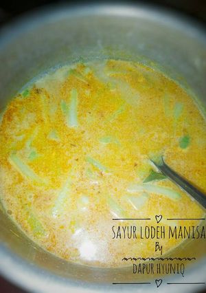 Foto resep Sayur lodeh manisa