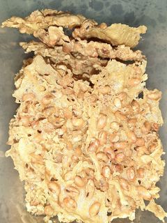 Foto resep Peyek Kacang Kedelai