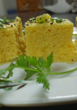 A picture of Instant Khaman Dhokla.