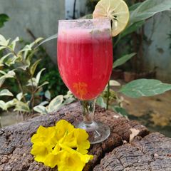 A picture of Pomegranate mojito.