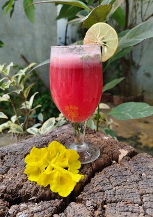 A picture of Pomegranate mojito.