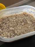 Pudín de plátano con copos de avena (3 ingredientes)