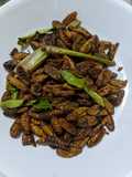 Fried Silkworms (Dak Dtae/Hon Mhai)