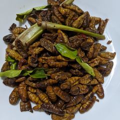 A picture of Fried Silkworms (Dak Dtae/Hon Mhai).