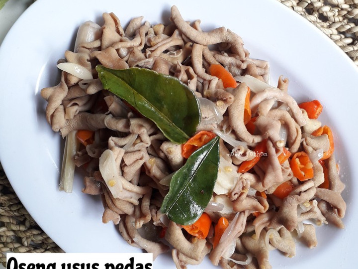 Cara Gampang Membuat Oseng usus pedas Anti Gagal