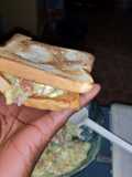 Avacado sandwich 🥪