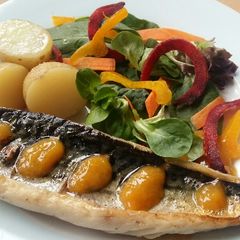 A picture of Vickys Mackerel with New Potatoes & Apricot Sauce GF DF EF SF NF.