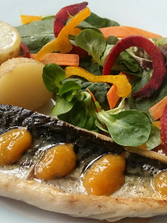 A picture of Vickys Mackerel with New Potatoes & Apricot Sauce GF DF EF SF NF.