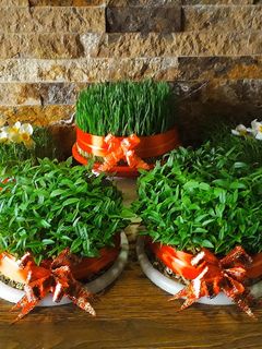 عکسی از دستور سبزه حبوبات ۱۴۰۰