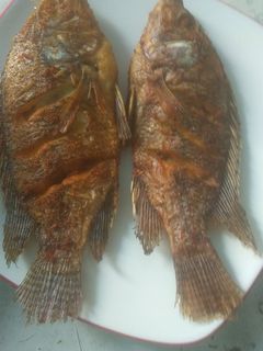 Foto resep Mujair goreng