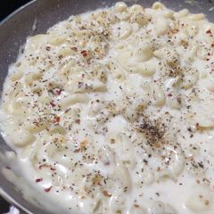 A picture of White Sauce Pasta.
