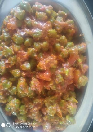 લીલા ચણાનું શાક (Lila Chana Shak Recipe In Gujarati) રેસીપી મુખ્ય ફોટો