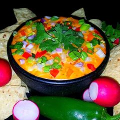 A picture of Mike's Southwestern Chili Con Queso Dip.