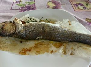 Foto di Cefalo al Cartoccio con Rosmarino, Aglio, Origano e Salsa di Soia