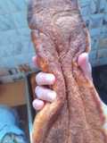 خبز صحي 🥖😋