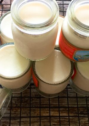 Hình của món Sữa chua sánh mịn thơm ngon đến miếng cuối cùng.