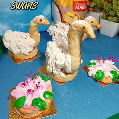 Cream Puff Swans😊 A picture of Cream Puff Swans😊.