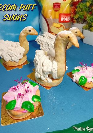 A picture of Cream Puff Swans😊.