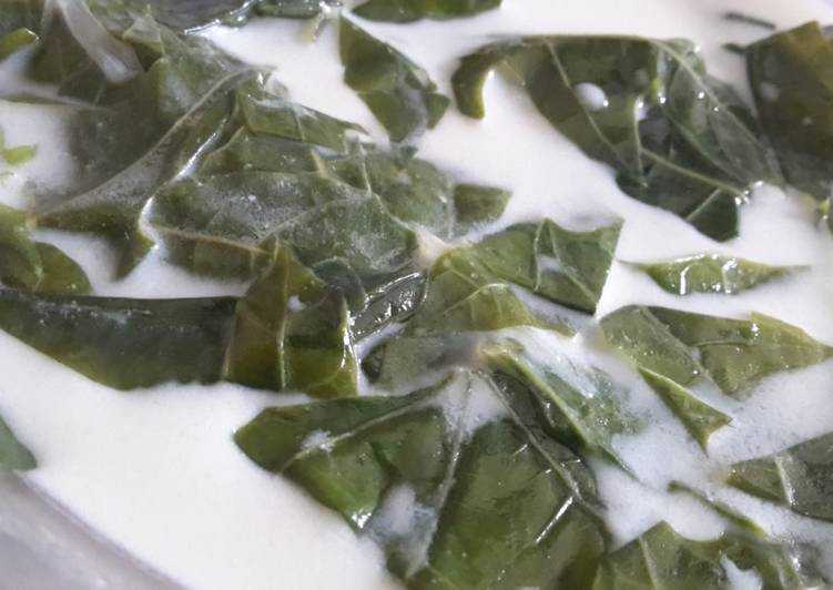 Cara mudah Membuat Sayur Santan Daun Pepaya Jepang. Minim bahan tapi lumayan enak 😅, Menggugah Selera