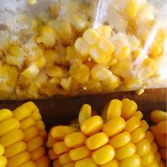 A picture of Frozen fresh corn..!!!🌽.