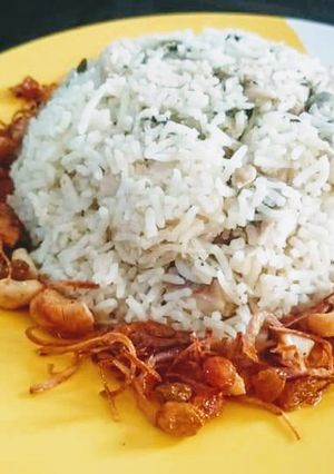A picture of Sofiyani biriyani or white biriyani.