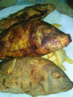 صورة لوصفة سمك بلطي مقلي 🐟🐟