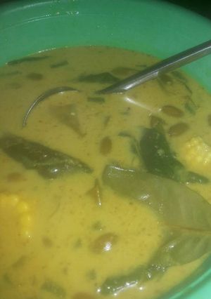 Foto resep Sayur lodeh ala mama aurel