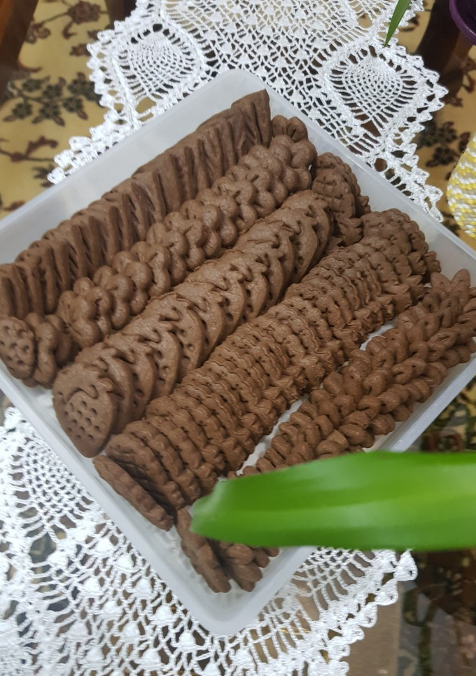 عکسی از دستور بیسکوییت شکلاتی