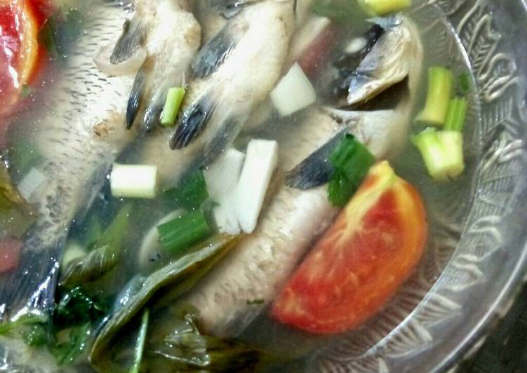 Langkah Mudah untuk Menyiapkan Sup/Sop Ikan mas Muda yang Lezat Sekali