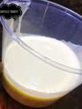 Homemade mayonnaise