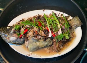 Hình của món Cá mú hấp bún tàu nấm mèo.