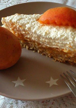 Sárgabarackos sütés nélküli torta Katától recept fotója