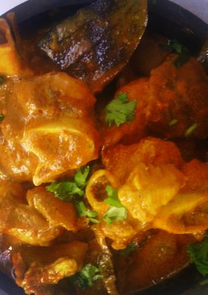 A picture of Mutton Korma.