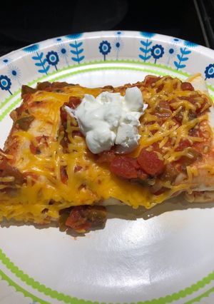 A picture of Beef and Bean Burritos.