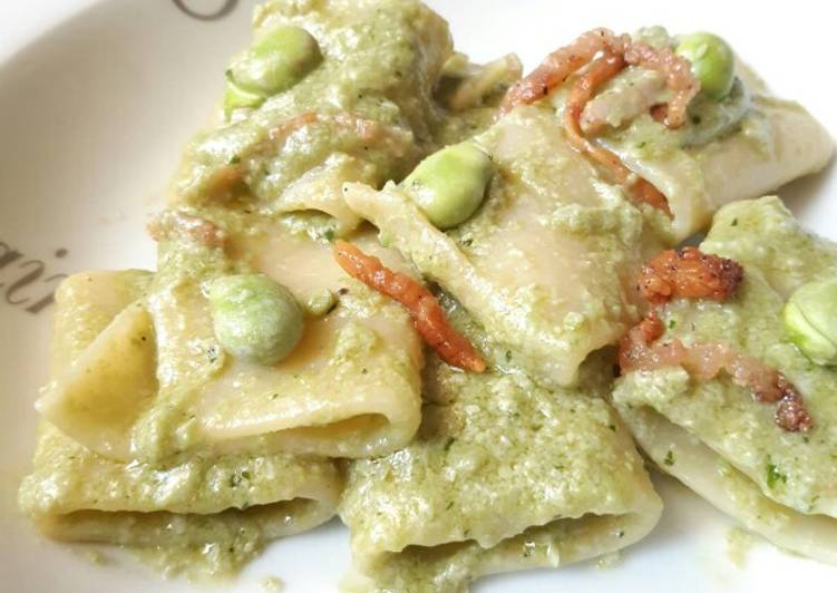 Paccheri con crema di fave fresche, pecorino e guanciale