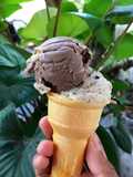 Sorbet Pisang Coklat - GATA mgg 12