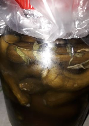 عکسی از دستور خیارشور دست سازخانگی راحت😍