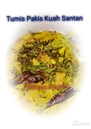 Foto resep Tumis Pakis kuah Santan