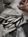 Cómo limpiar y congelar sardinas