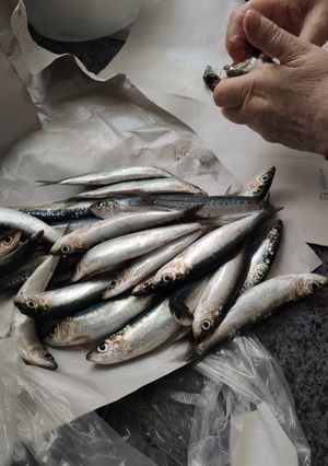 Una foto de Cómo limpiar y congelar sardinas