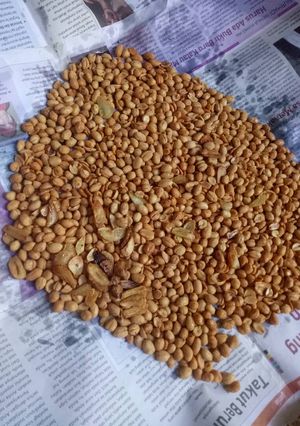 Foto resep Kacang Bawang