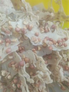 Foto resep Rempeyek kacang