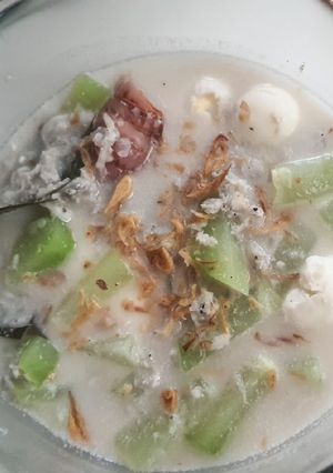 Foto resep Lodeh Teri Puyuh Labu Siam (MPASI 1 tahun)
