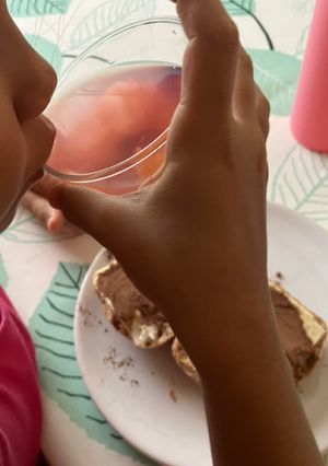 Una foto de “Sangría” sin alcohol y sin azúcar, para niños