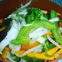 A picture of Vegetable Salad 🥗.